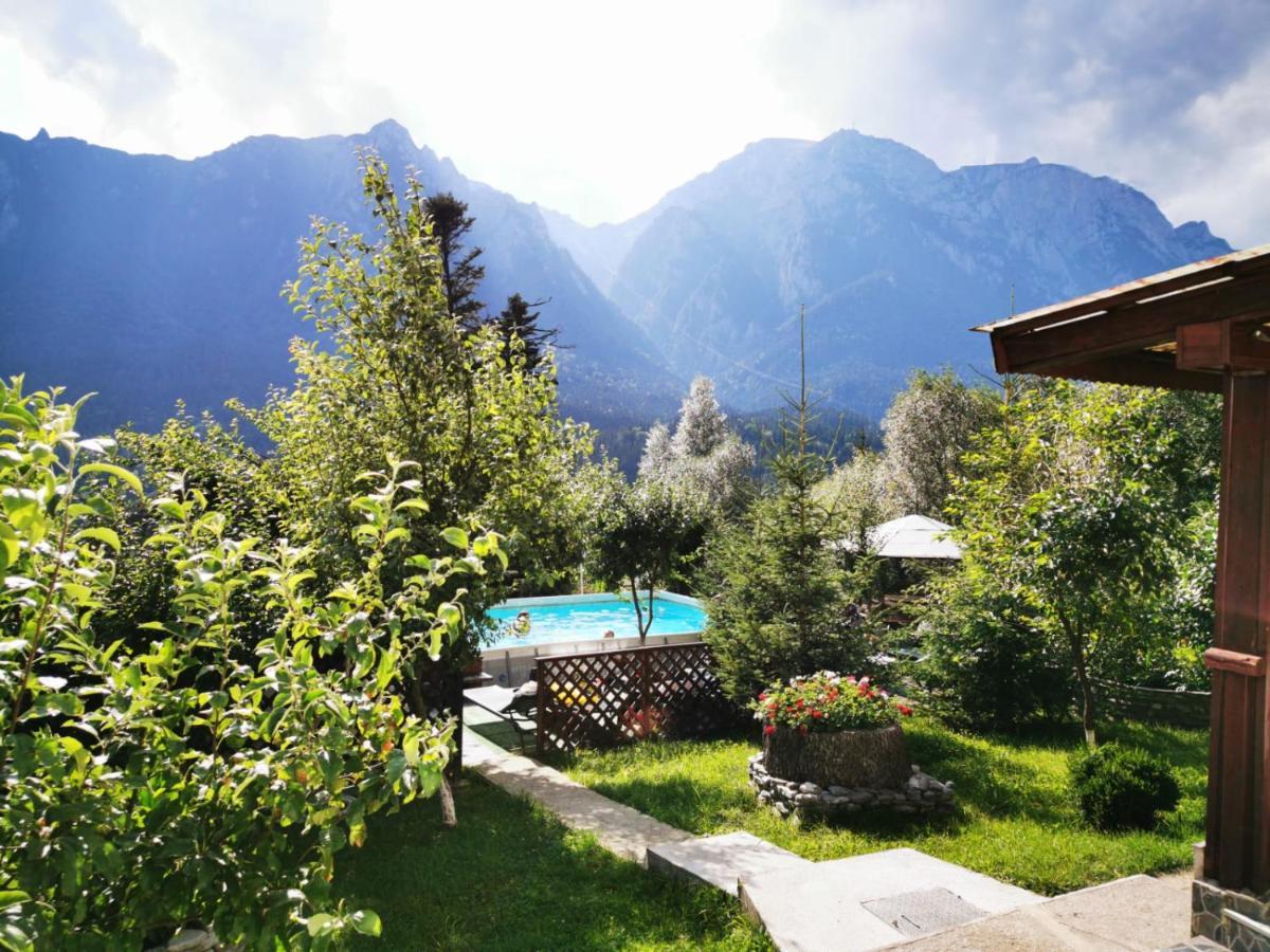 Vila Alunis Buşteni Buitenkant foto
