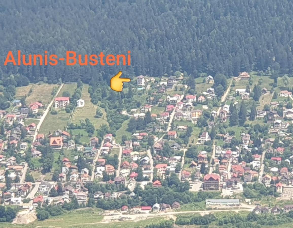 Vila Alunis Buşteni Buitenkant foto