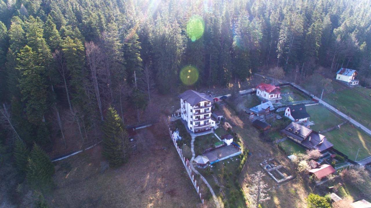 Vila Alunis Buşteni Buitenkant foto