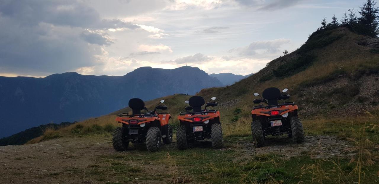 Vila Alunis Buşteni Buitenkant foto