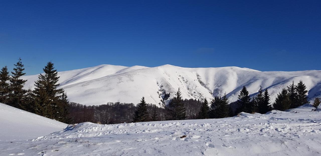 Vila Alunis Buşteni Buitenkant foto