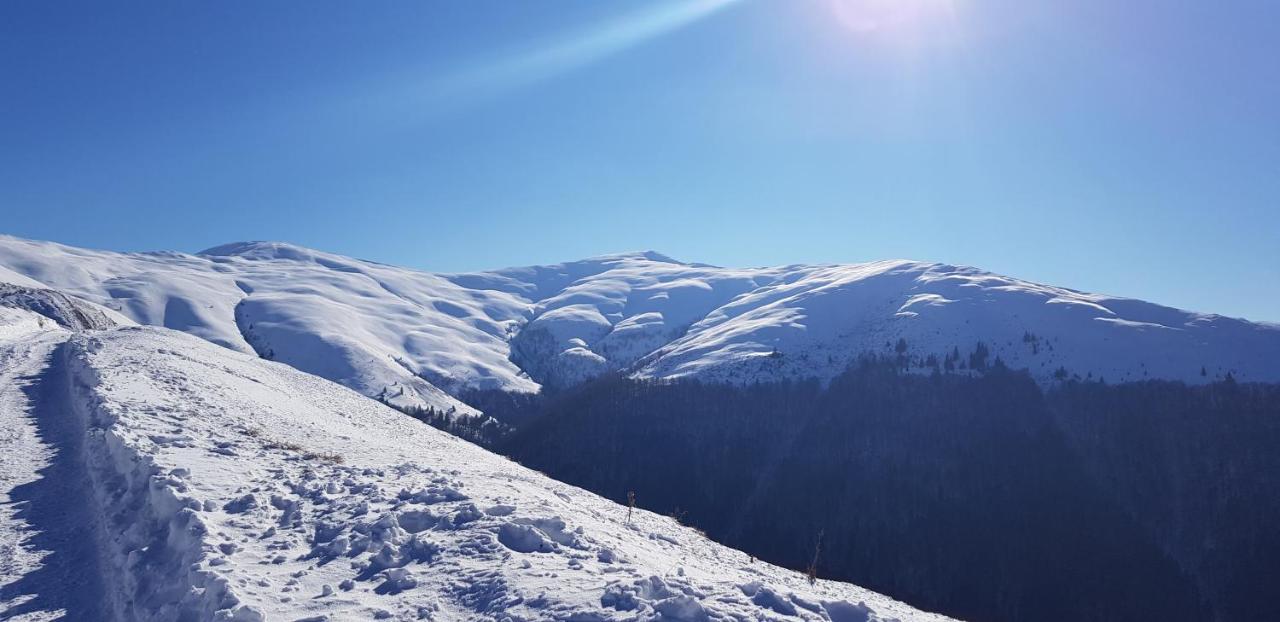 Vila Alunis Buşteni Buitenkant foto