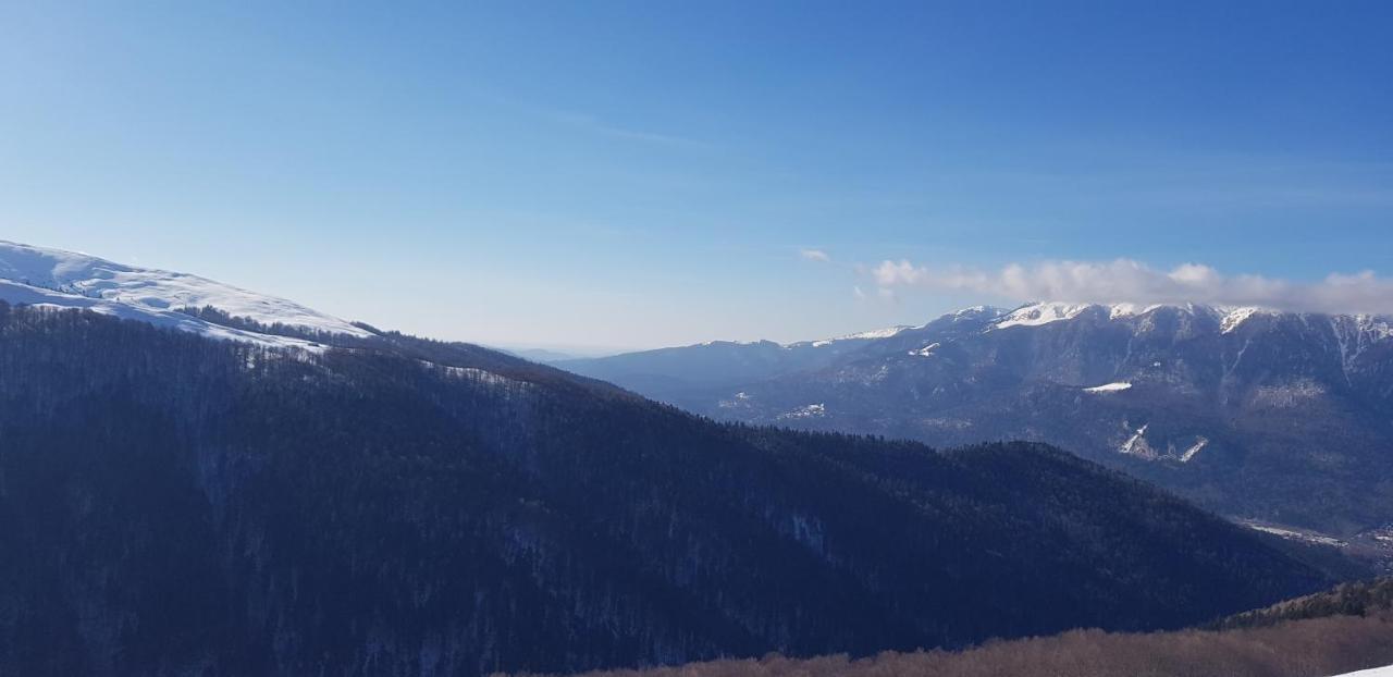 Vila Alunis Buşteni Buitenkant foto