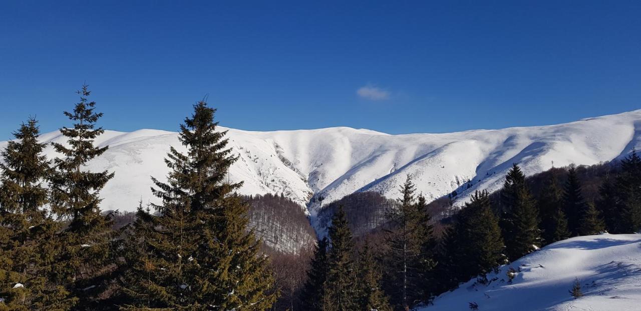 Vila Alunis Buşteni Buitenkant foto