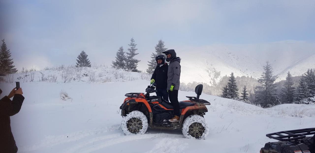 Vila Alunis Buşteni Buitenkant foto