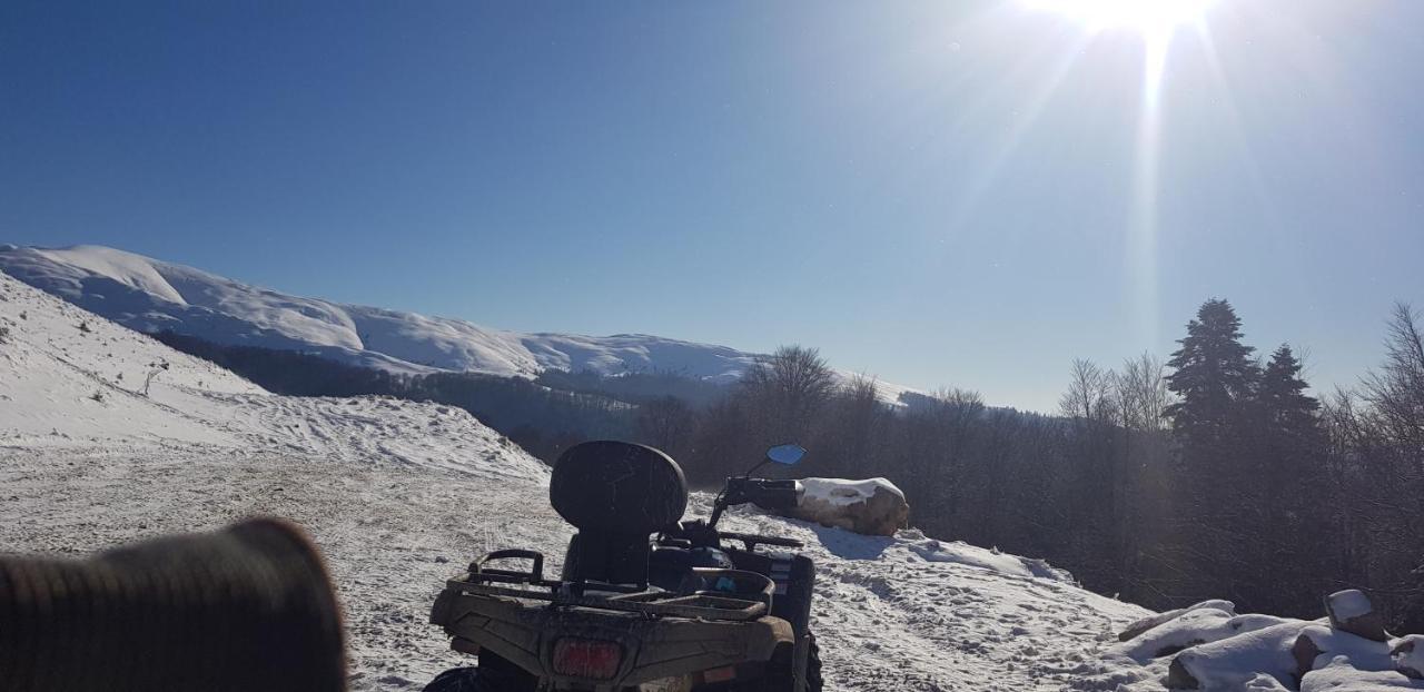 Vila Alunis Buşteni Buitenkant foto