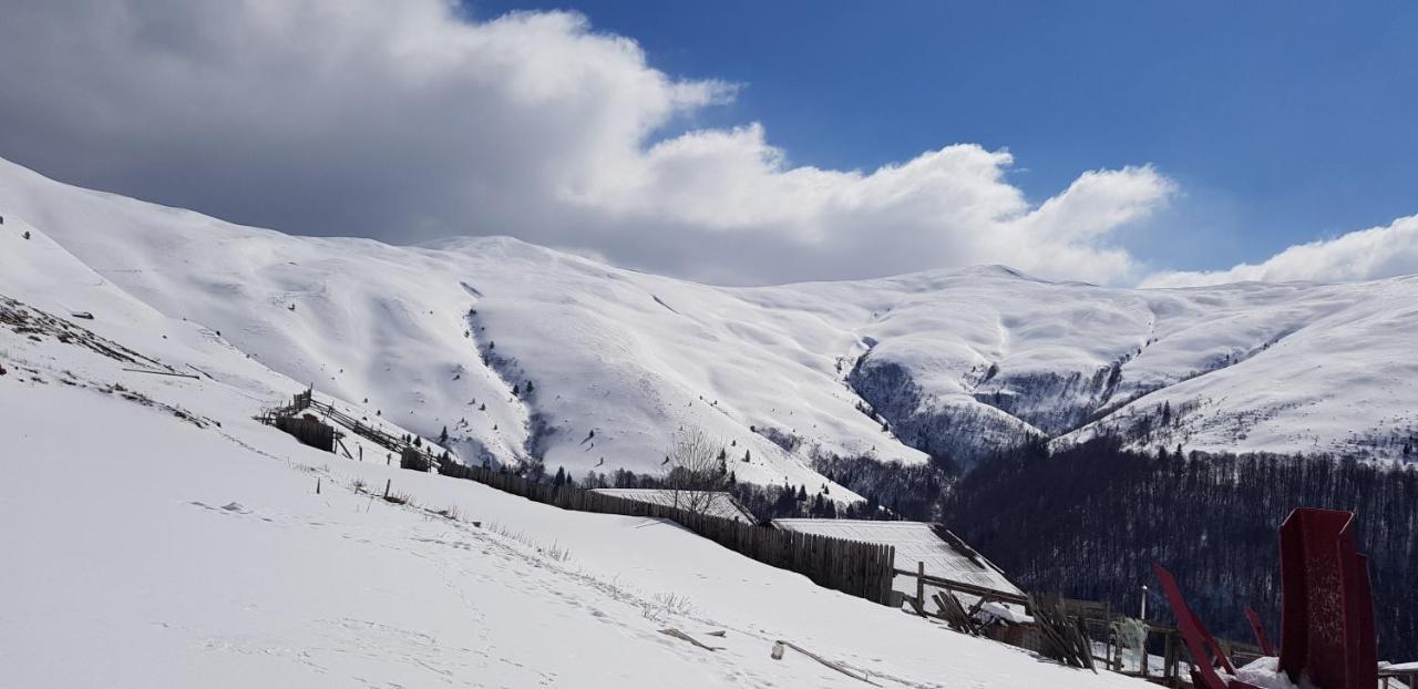 Vila Alunis Buşteni Buitenkant foto