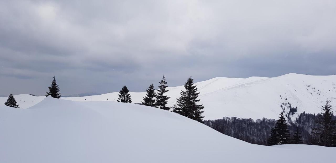 Vila Alunis Buşteni Buitenkant foto