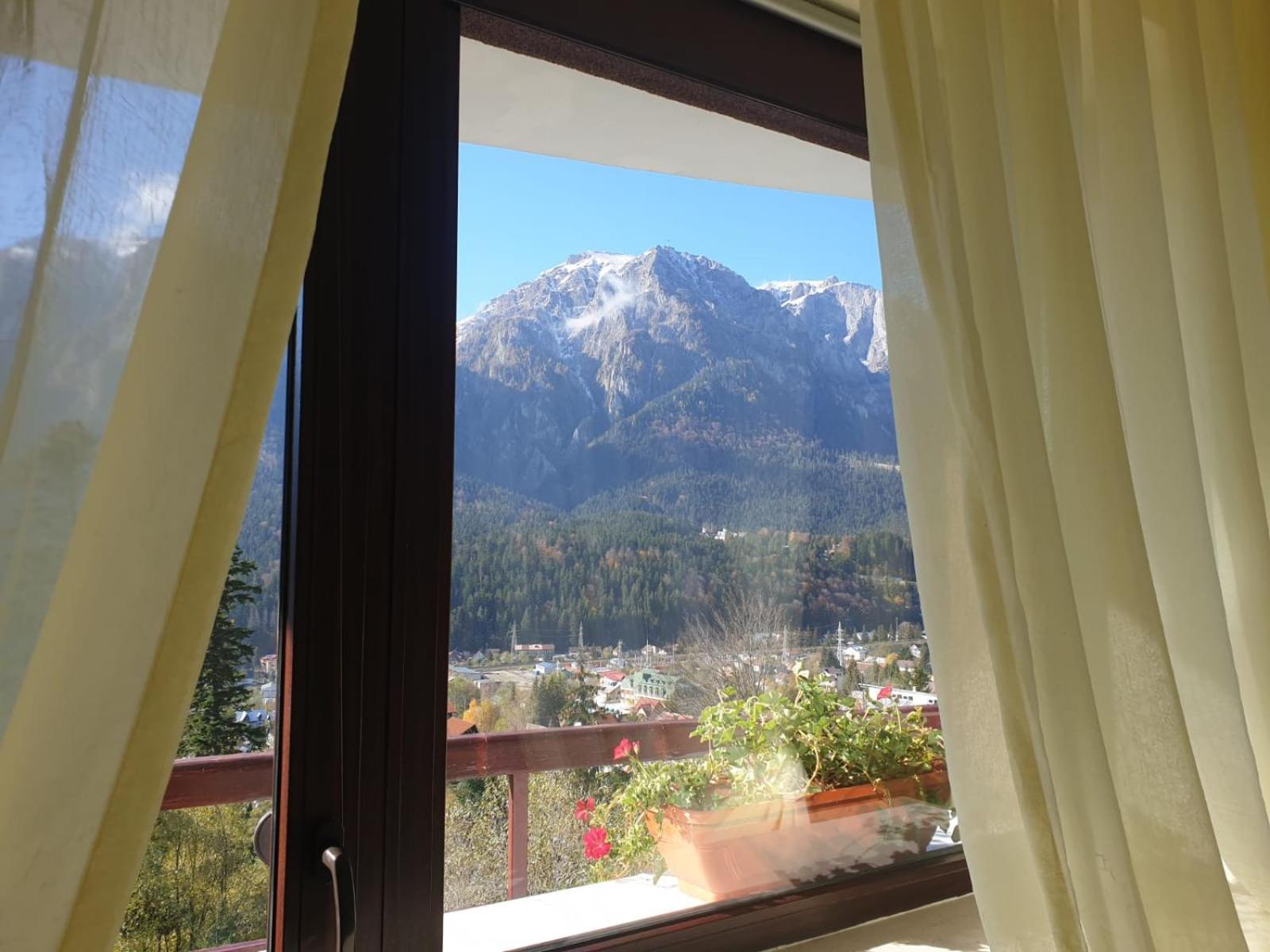 Vila Alunis Buşteni Buitenkant foto