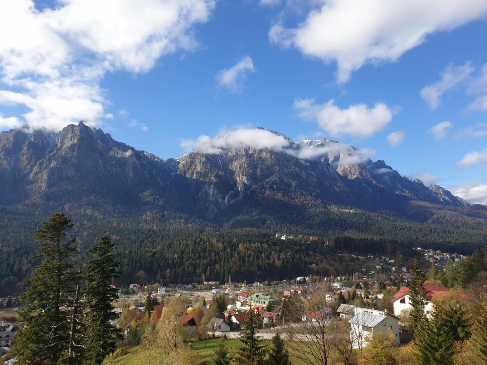 Vila Alunis Buşteni Buitenkant foto