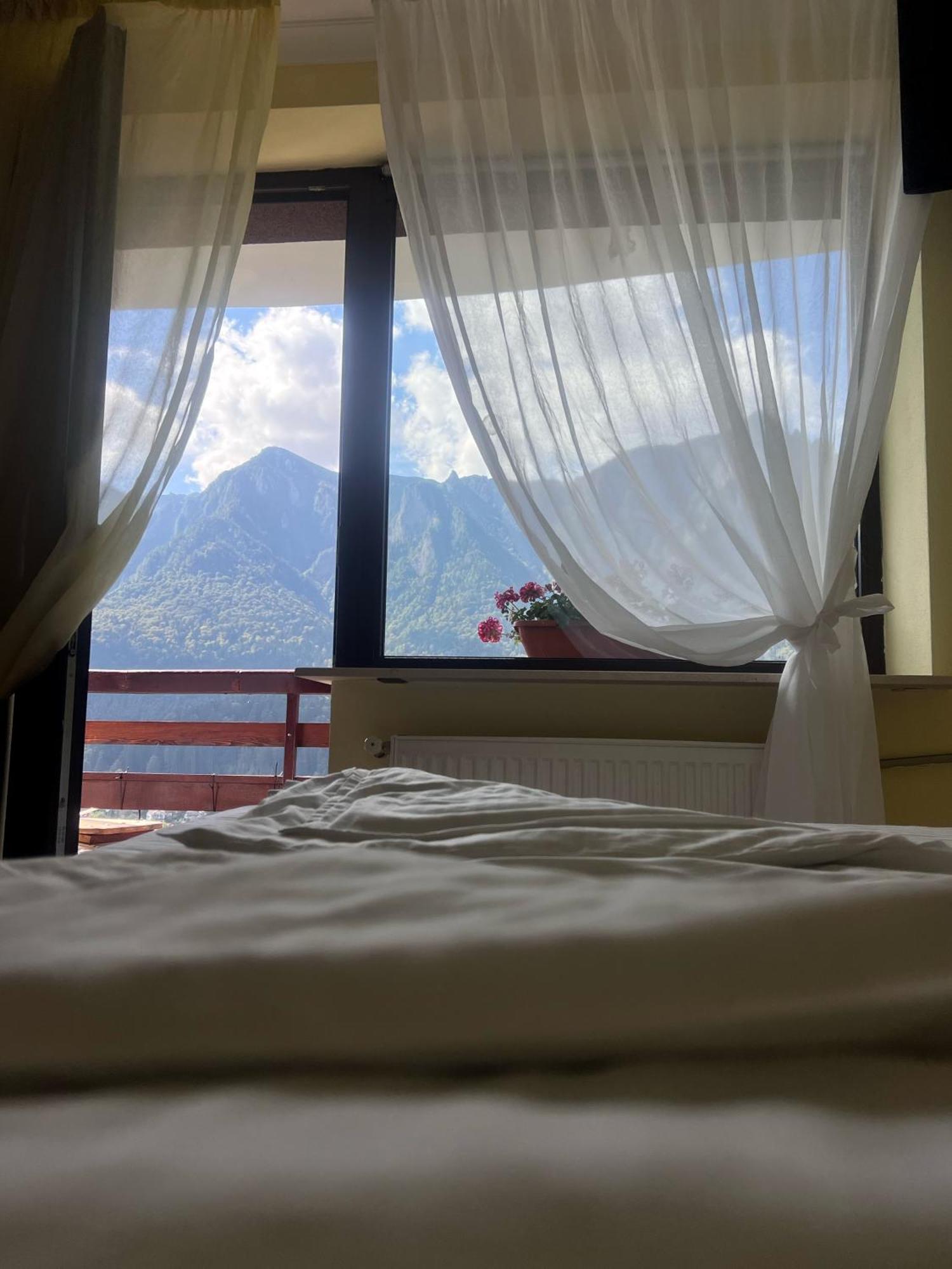 Vila Alunis Buşteni Buitenkant foto
