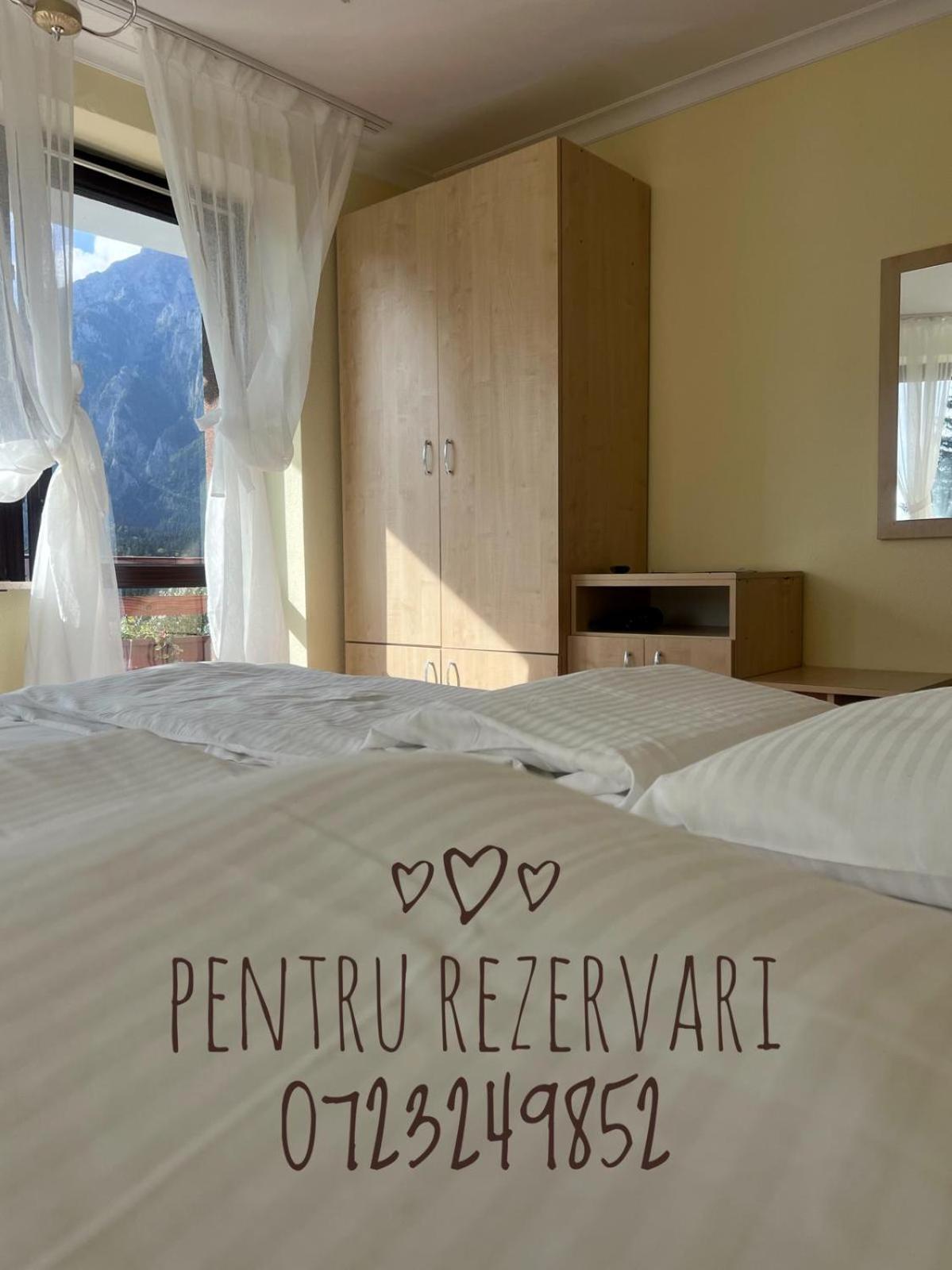 Vila Alunis Buşteni Buitenkant foto