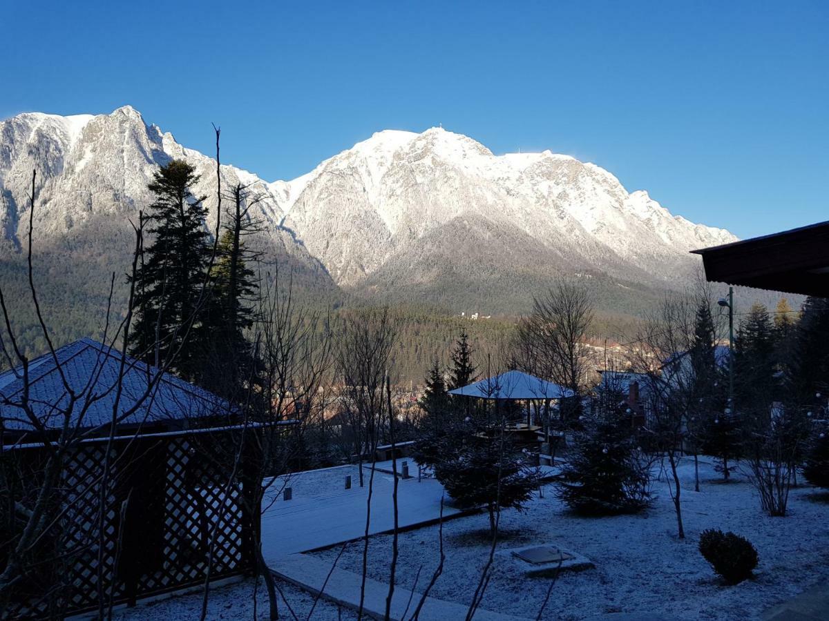 Vila Alunis Buşteni Buitenkant foto